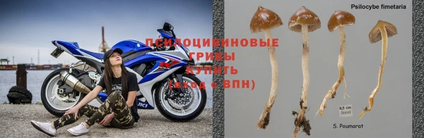 2c-b Долгопрудный