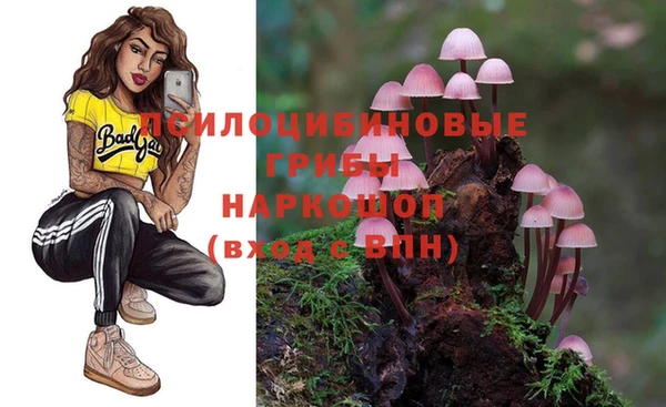 2c-b Долгопрудный