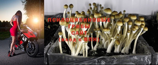 ПСИЛОЦИБИНОВЫЕ ГРИБЫ Новый Уренгой