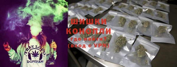 2c-b Долгопрудный