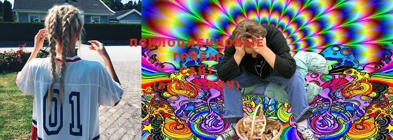 Галлюциногенные грибы Cubensis дарнет шоп Тюмень