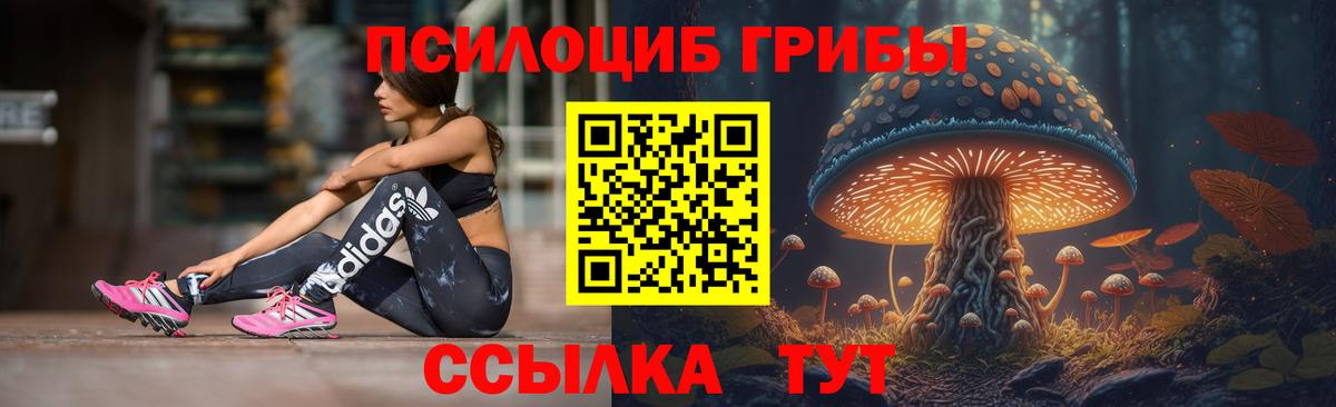 Псилоцибиновые грибы GOLDEN TEACHER Россия